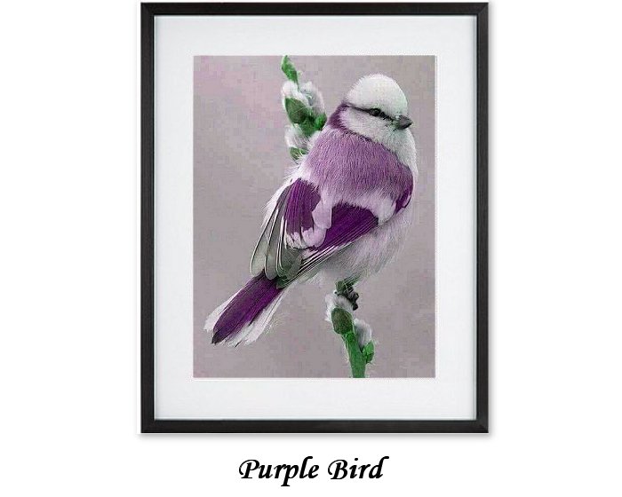 Purple Bird Framed Print